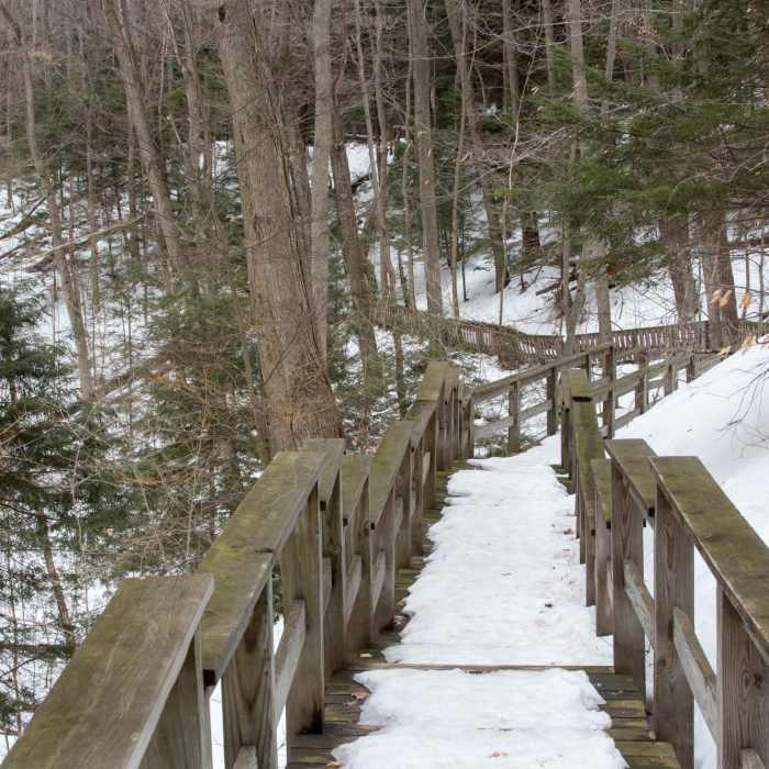 Frozen Beach-8 Near Homestead Loop
