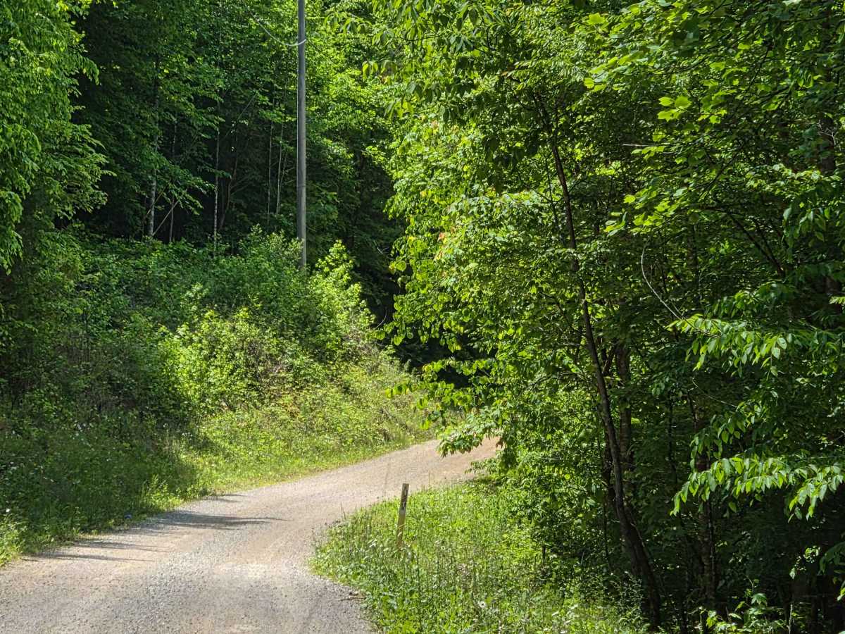 Slash Road photo 5