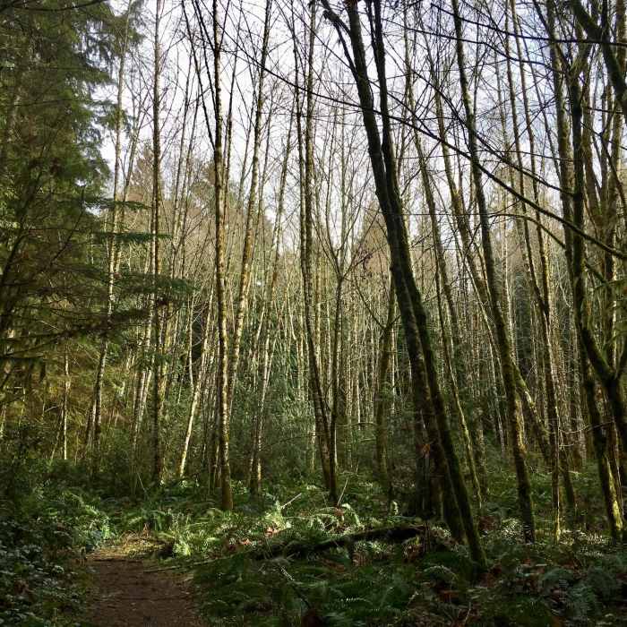 Near Gazzam Main Trail