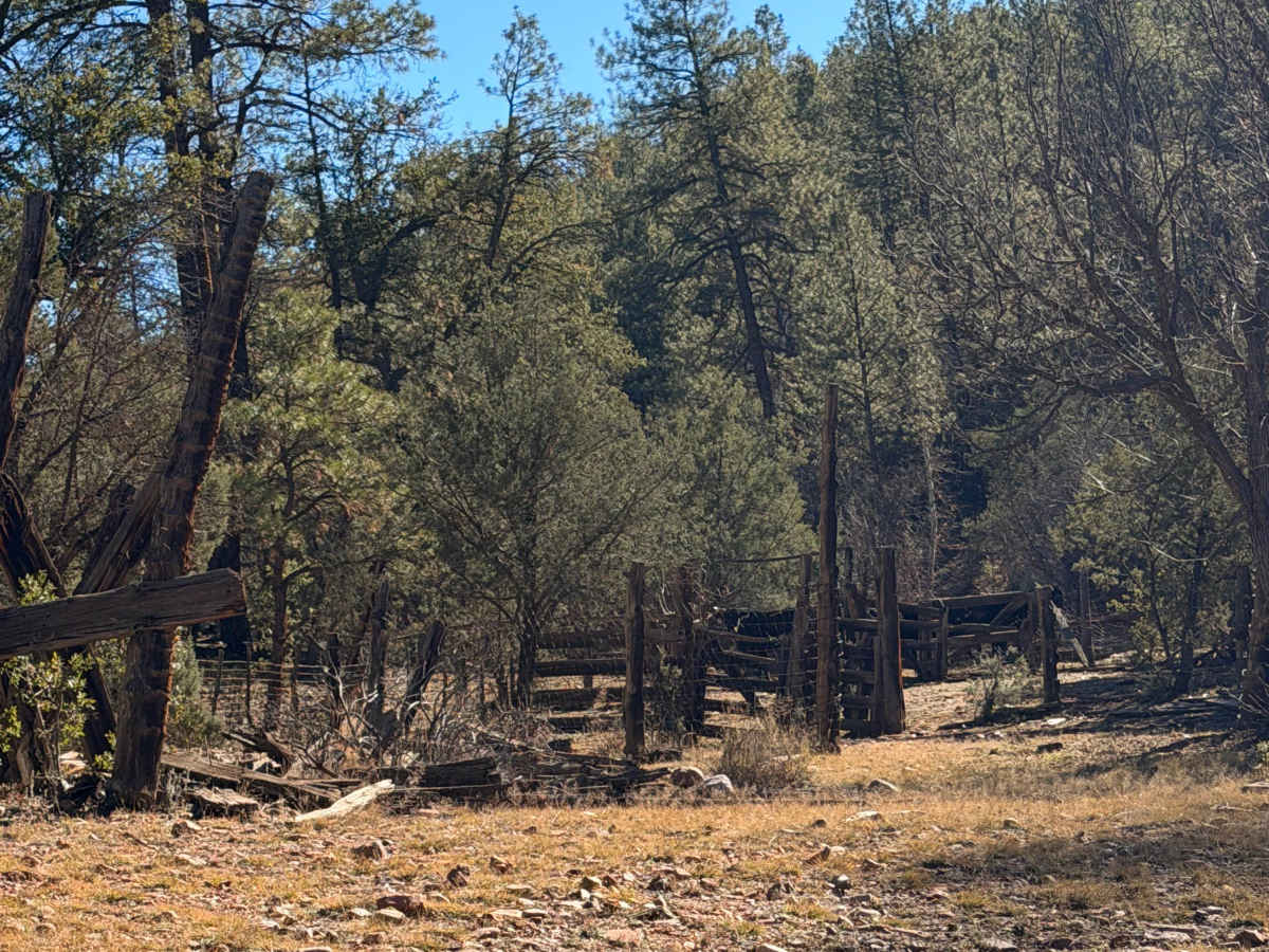 Bear Head Springs Segment - FS 609 photo 2