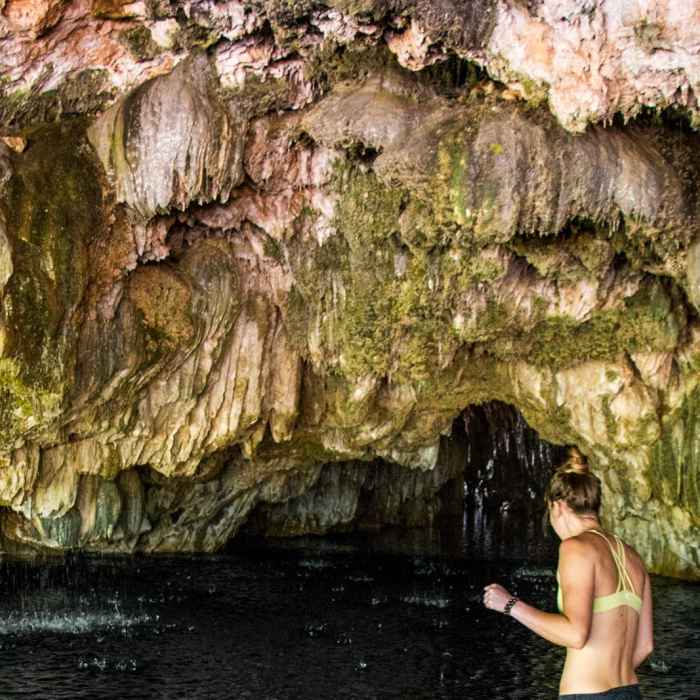 Near Natural Bridges Caverns Trail