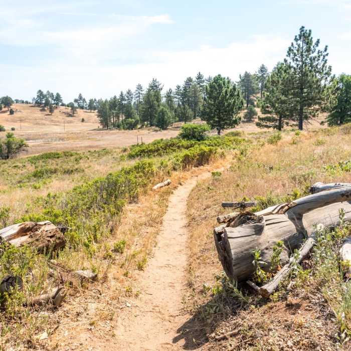 Near Minshall Trail to Stonewall Mine Loop Near Minshall Trail to Stonewall Mine Loop