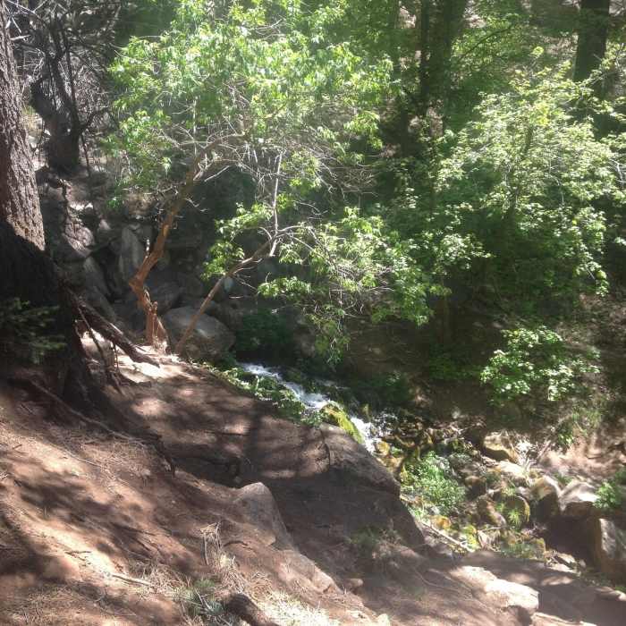 The view of Horton Spring. Near Horton Springs Trail #292