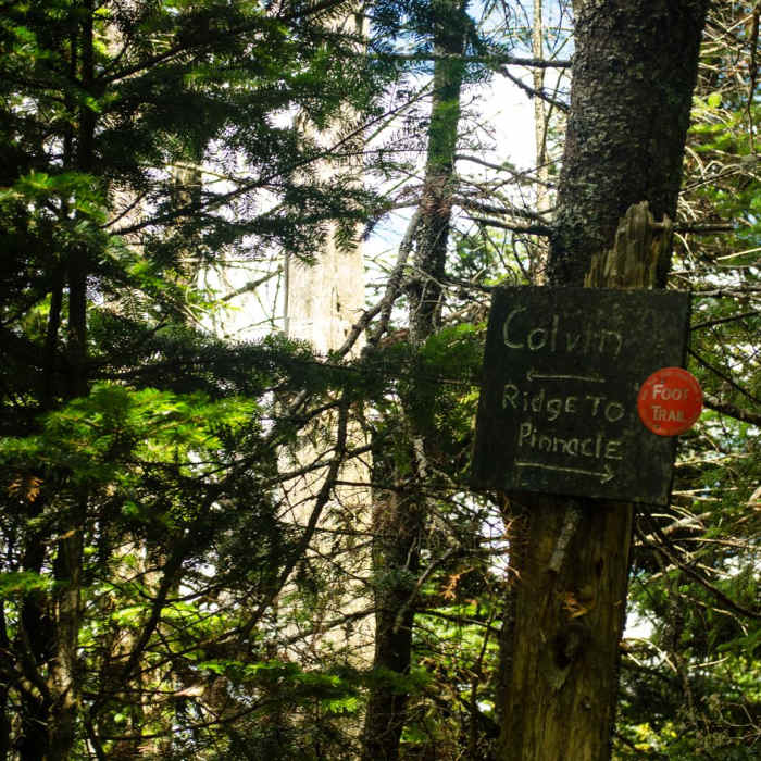 Near Colvin and Blake