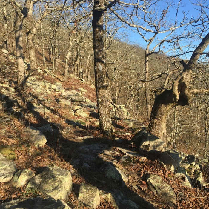 Loose rock and boulder hang from the shoulder. Tread carefully if you want to die older. Near Rich Mountain Trail
