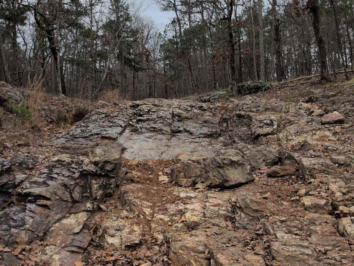F47 Shaffner's Hollow photo 5