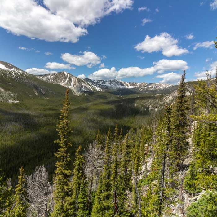 Near Mount Powell to Deer Lodge Mountain Loop