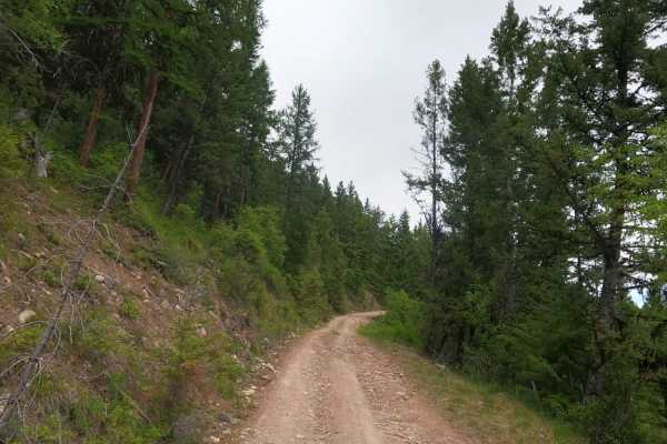 Corral Creek Rd 2146