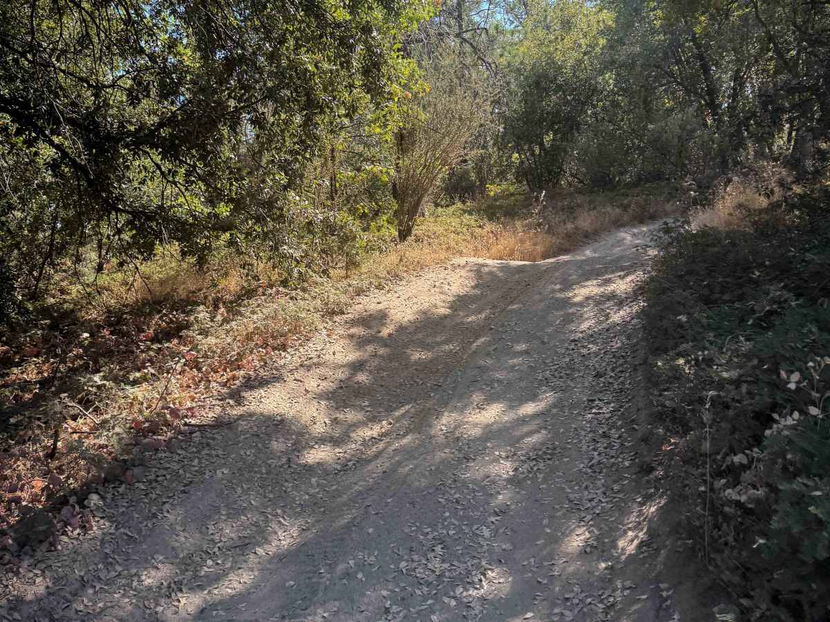 21E240B photo 4