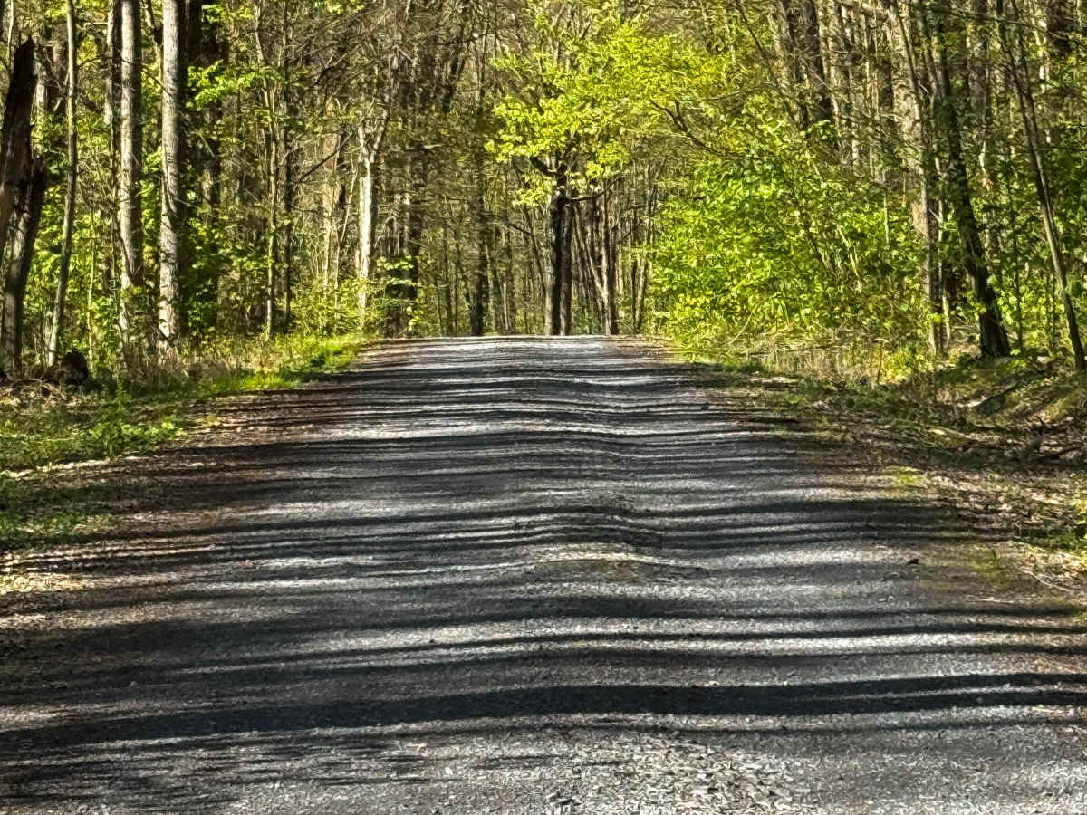 Weiss Grade Road photo 6