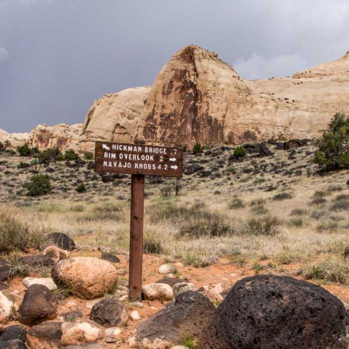 Near Navajo Knobs Out and Back