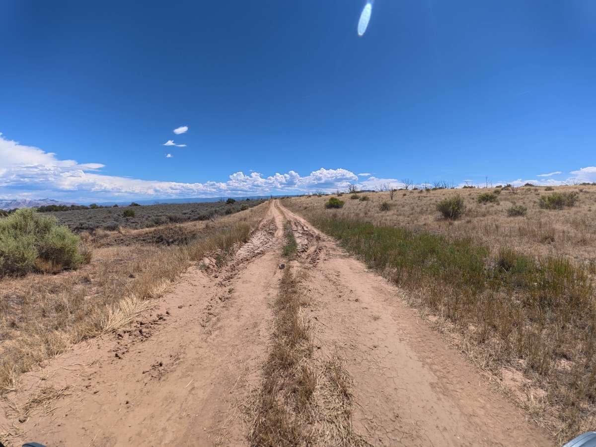 BLM 288 photo 4