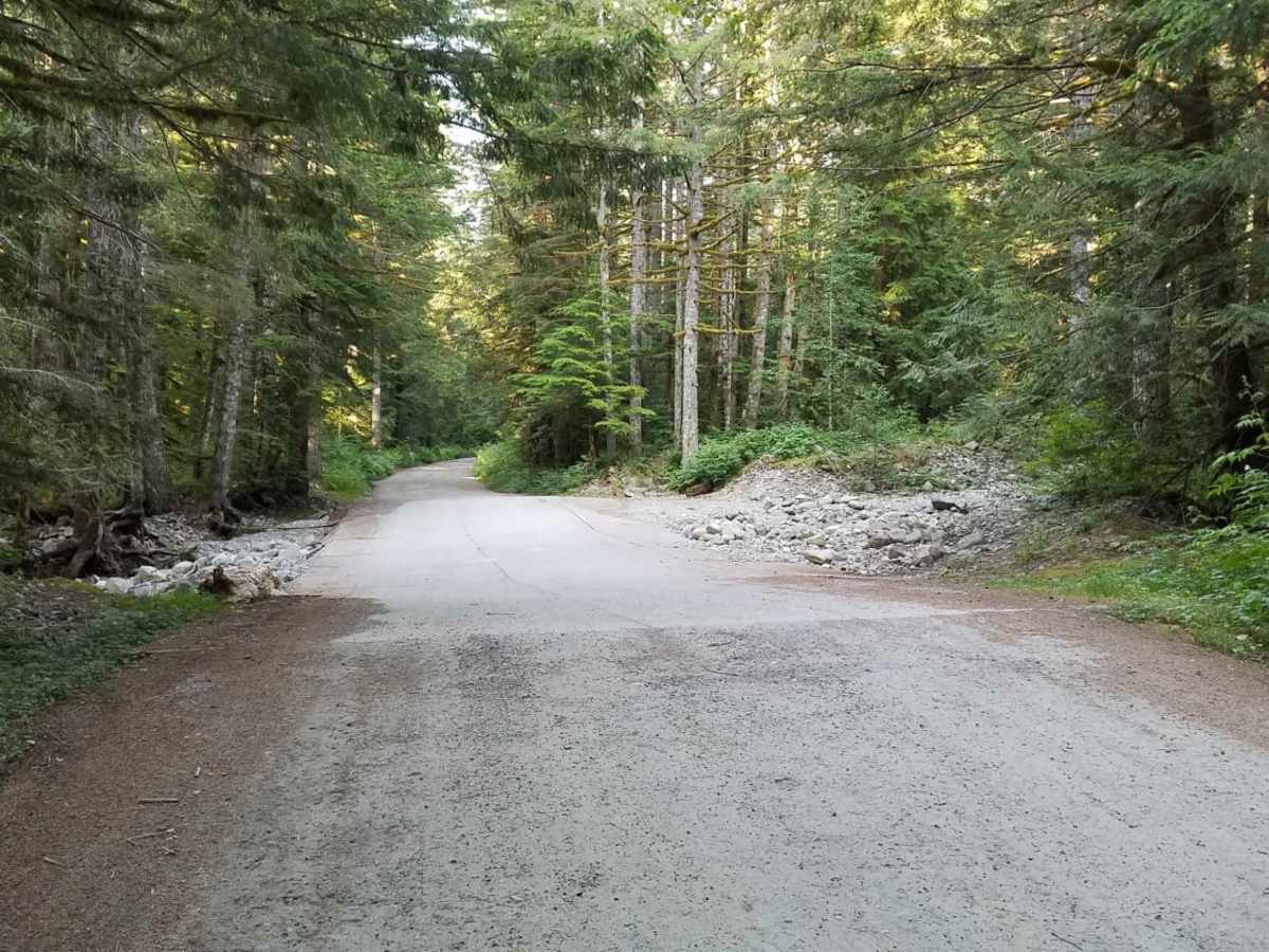Tinkham Road (NF-55) photo 3