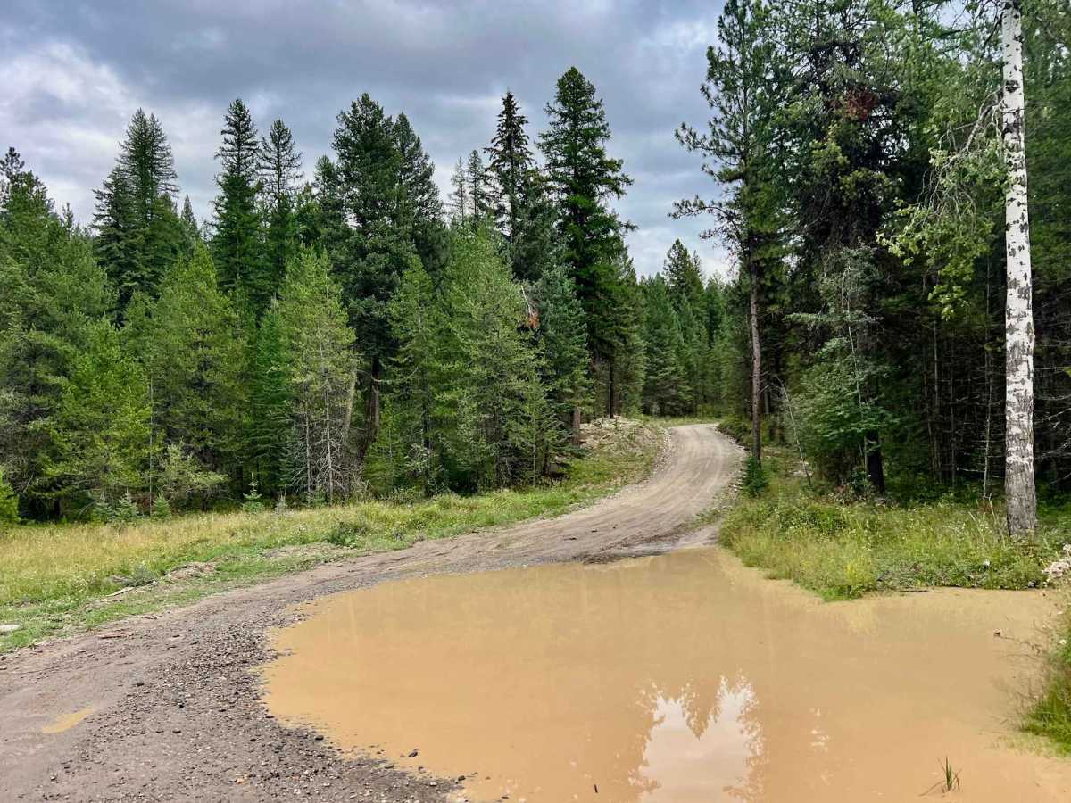 Suzanne Lake Road photo 3