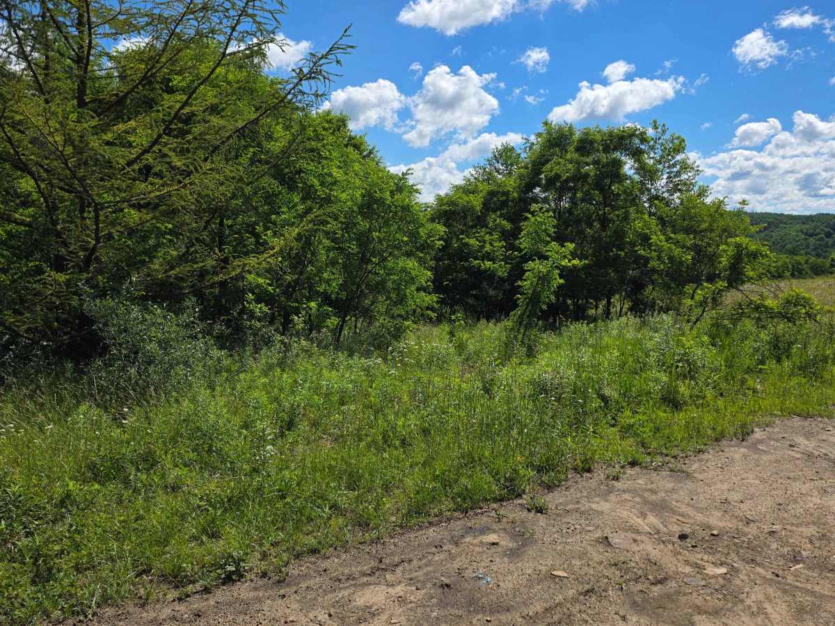 Single Track Z photo 3