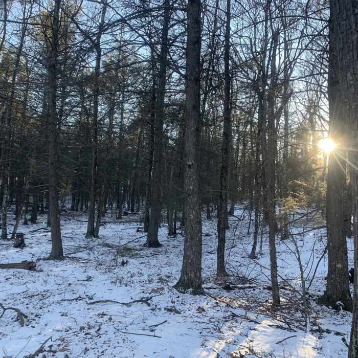 Near Illinois Mountain