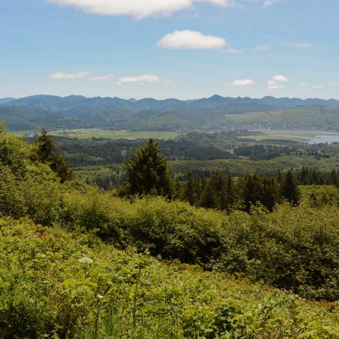 Near Neah-Kah-Nie Mountain Trail