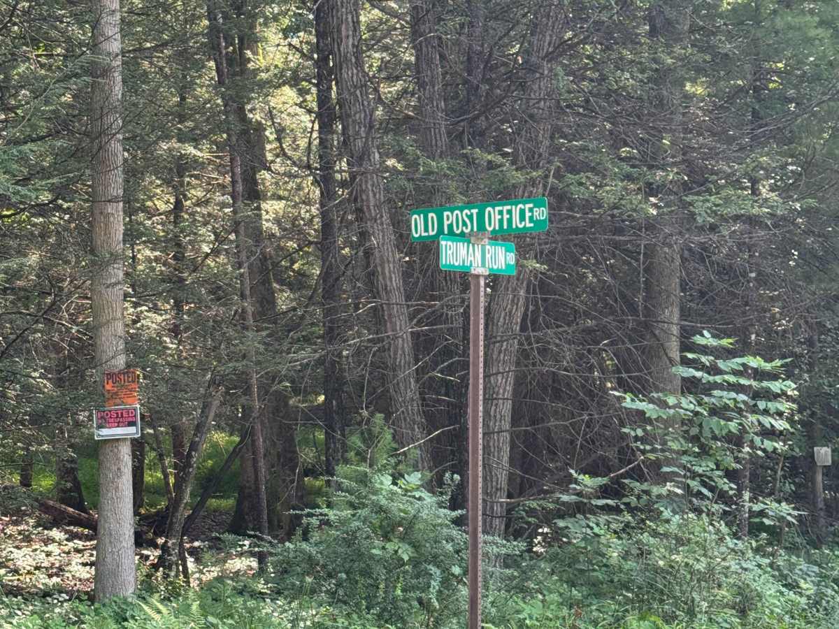 Truman Run Road photo 6