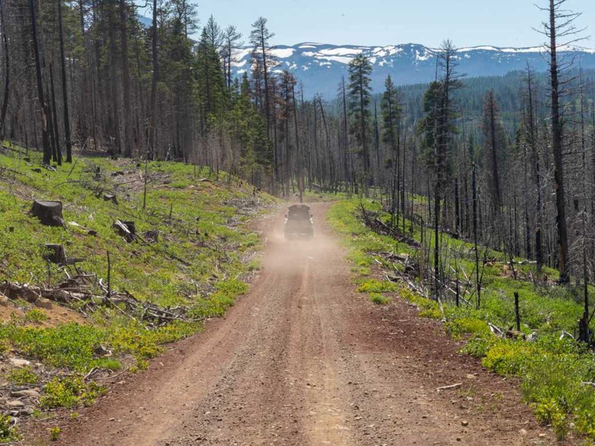 Sisters to Tumalo Falls via Trout Creek Butte photo 3
