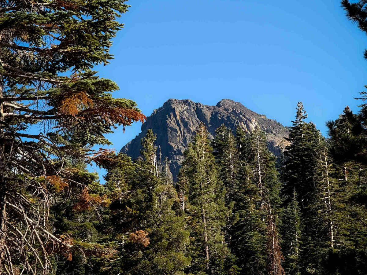 Pack Saddle Drop  trail photo