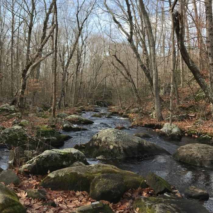 Cascades of Iron Stream Near Red Dot