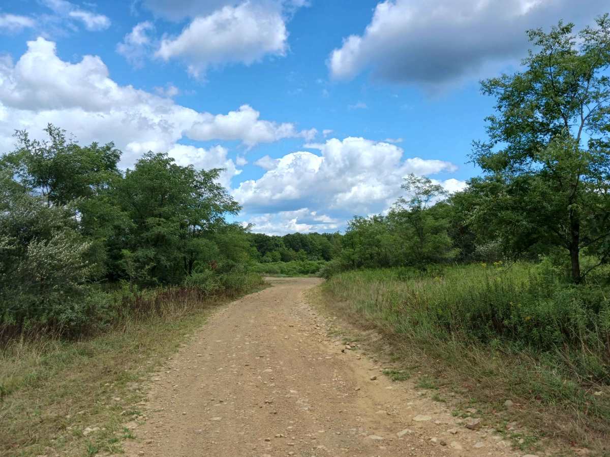 Play Pond Connector - Rock Run Recreation Area photo 6
