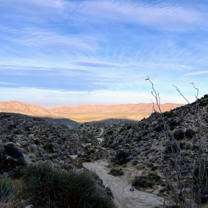 Near Whale Peak Via Pinyon Wash