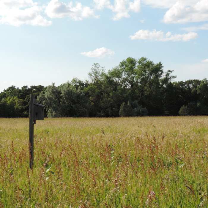 There are many bird feeders along the Eco Loop to view birds. Near Moose Head Trail
