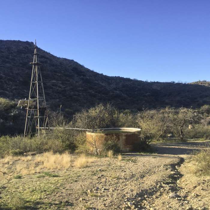 Near Wild Burro Loop Trail