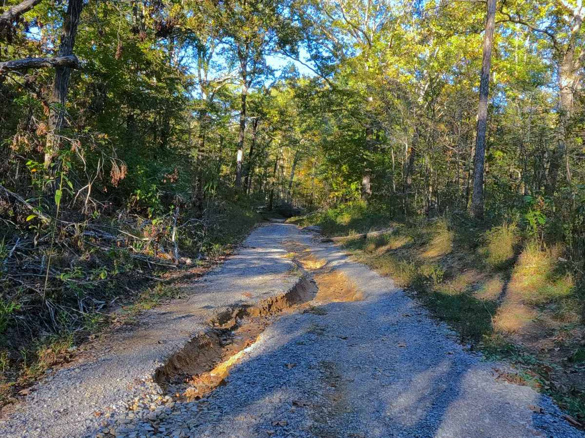 Sugar Creek - FS 318 photo 5