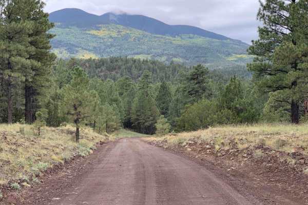 White Horse Trail