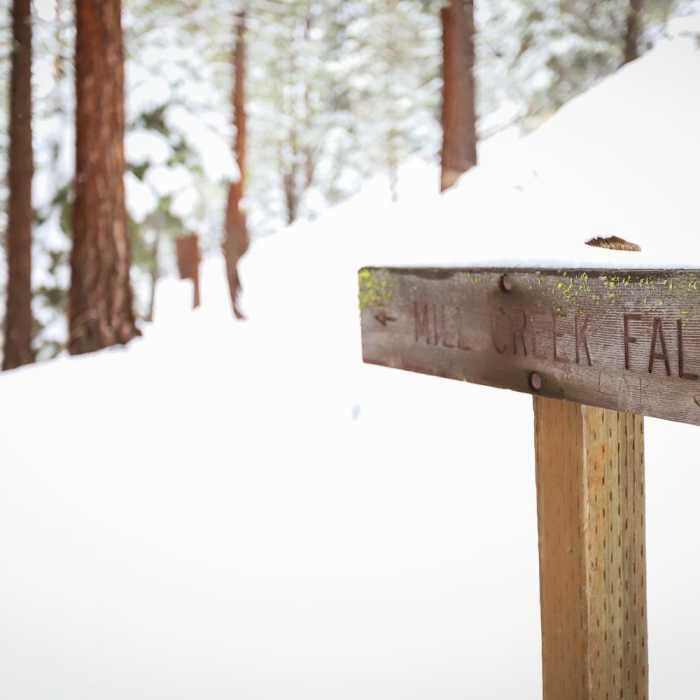 Near Mill Creek Falls