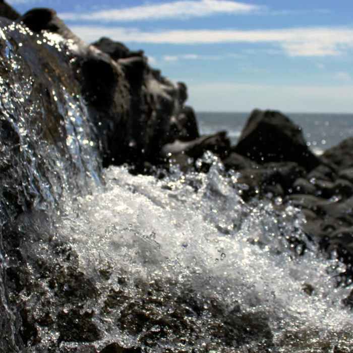 Near The Lost Coast Trail