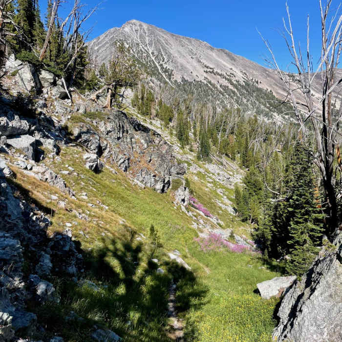 Near Continental Divide Trail: Montana-Idaho Section 11
