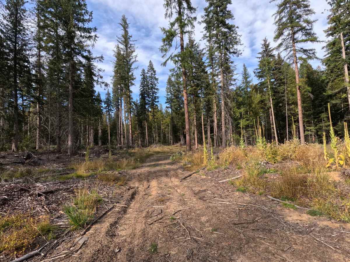 Pickett Road - FS 1710500 photo 6