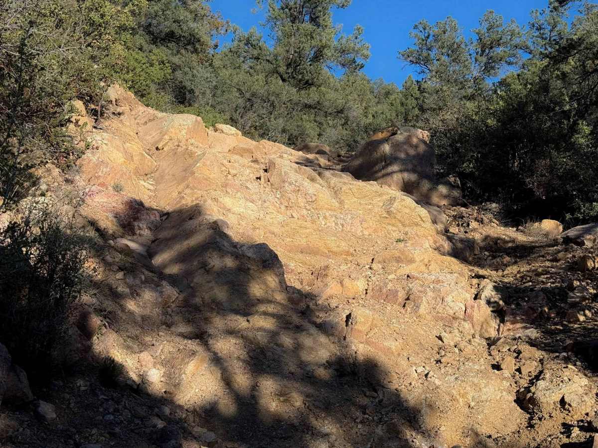 BT Butte #133  trail photo