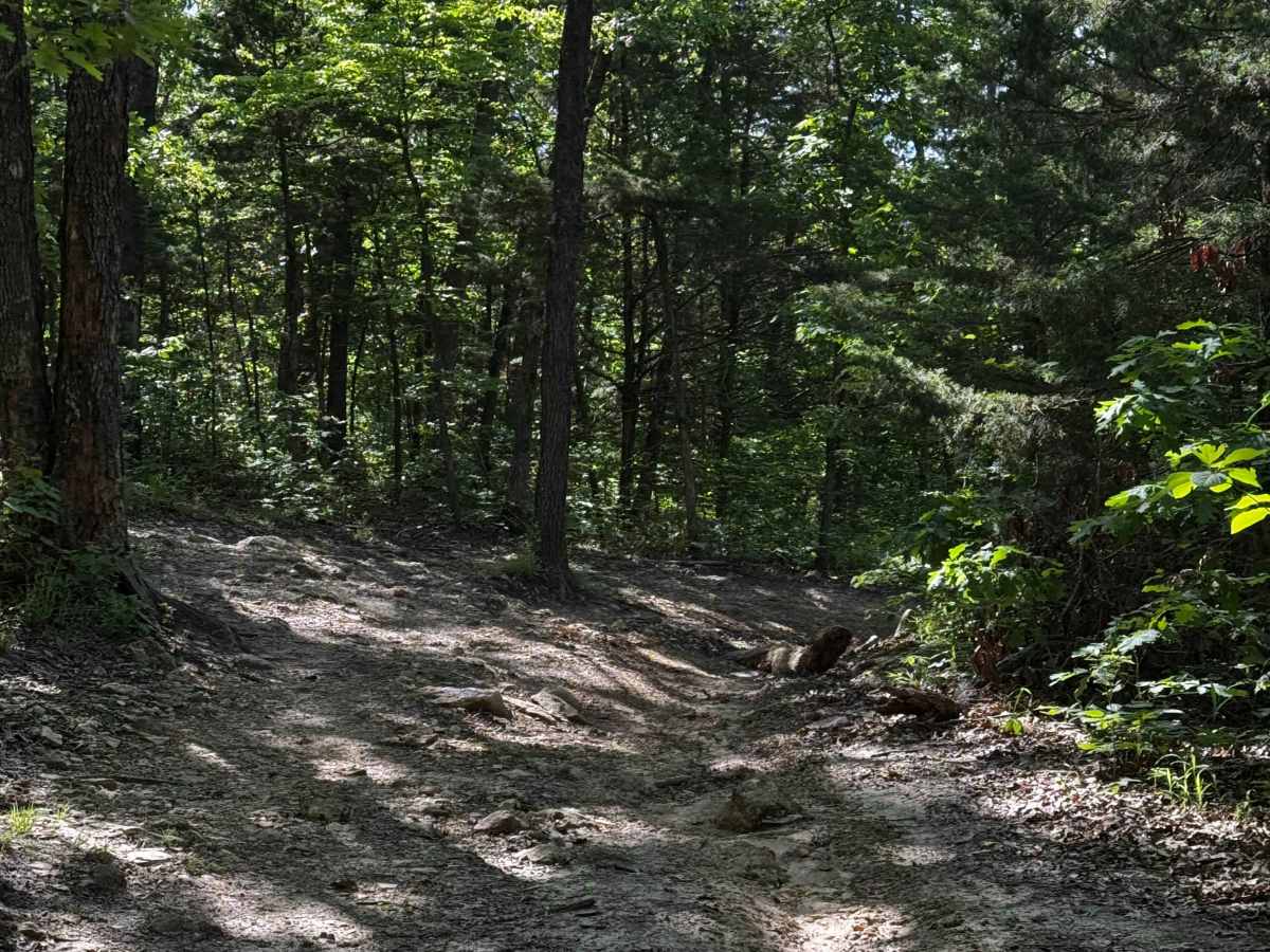 Inner Trail 11 photo 2