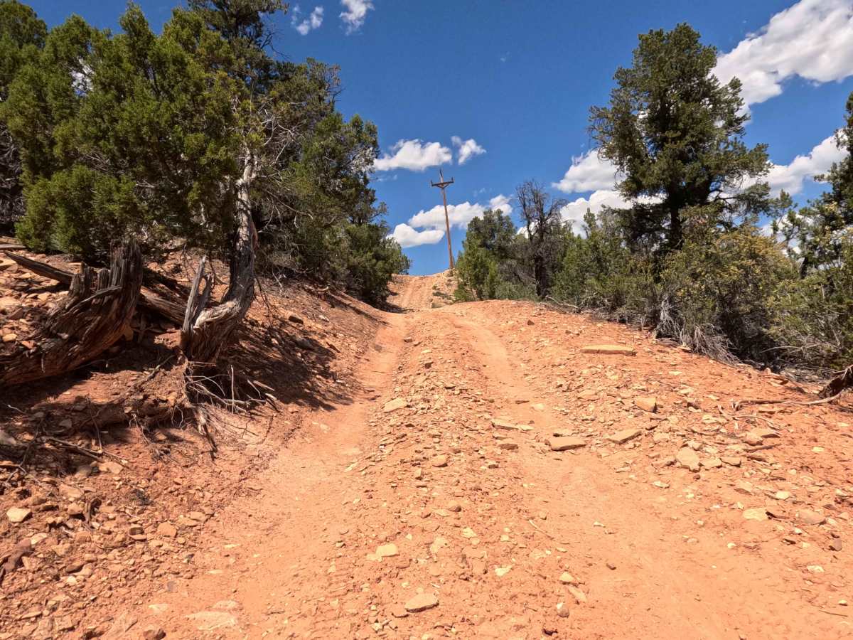 BLM 106Y photo 5