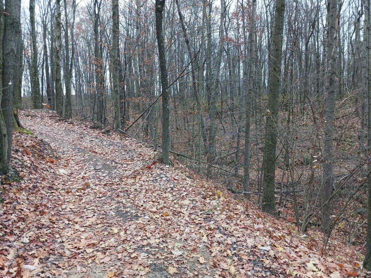 Outer Loop West - Rock Run Recreation Area photo 4