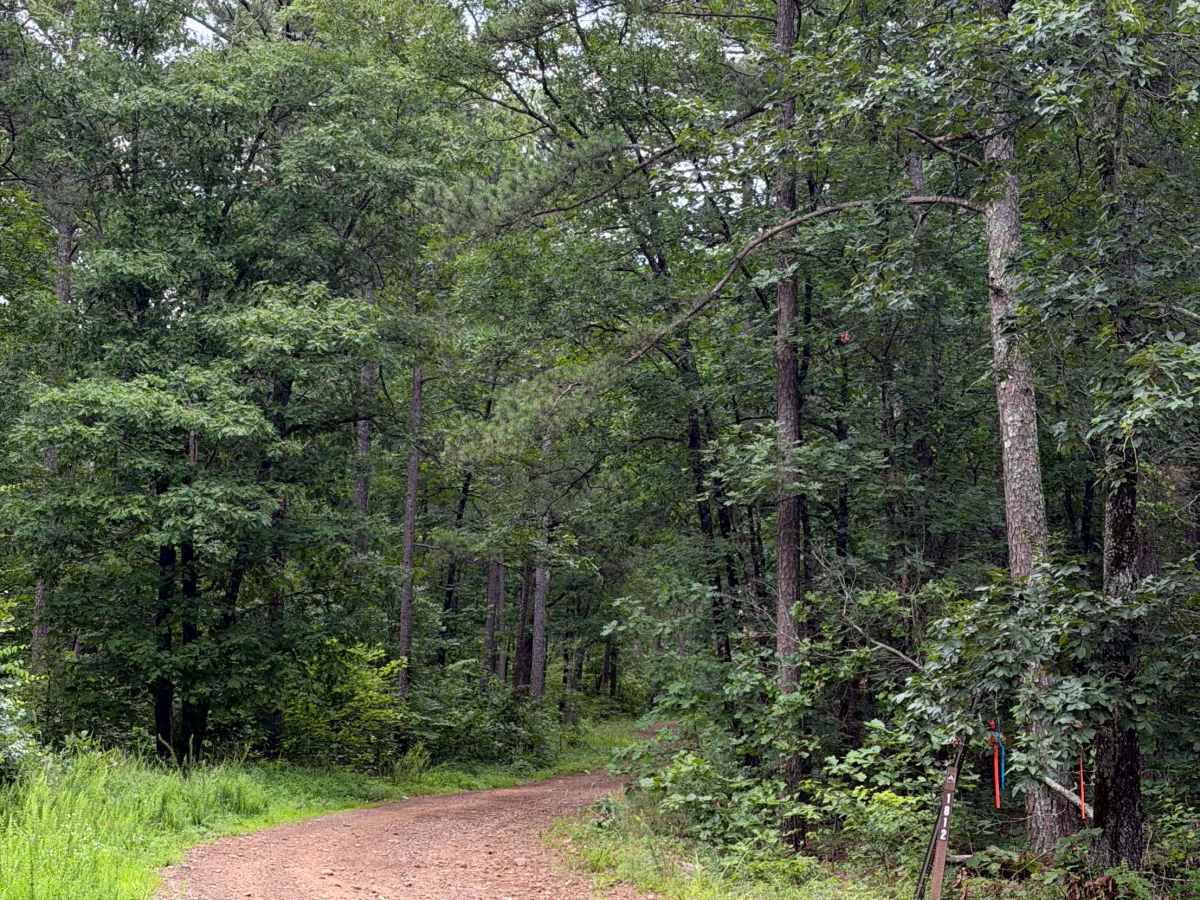 Pilot Rock Run trail photo