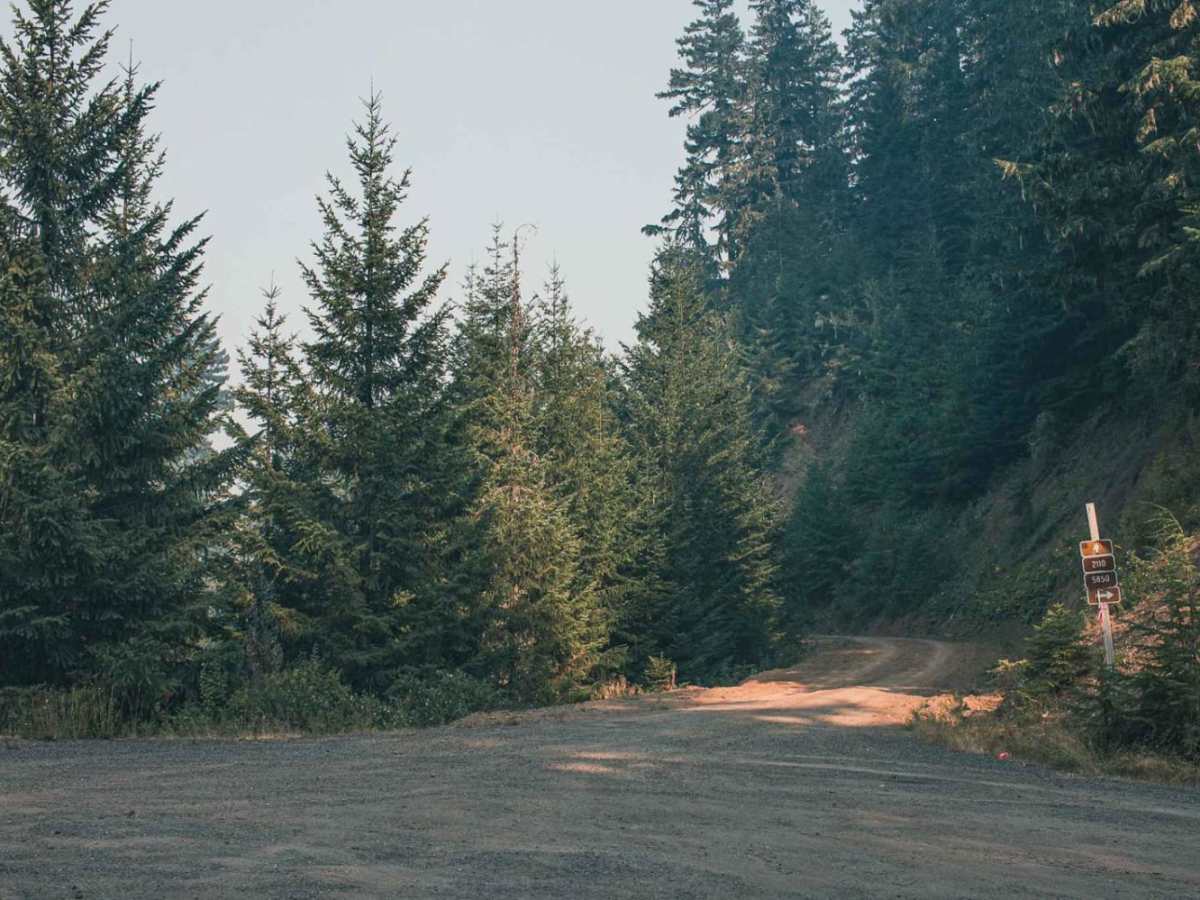 211 trail photo