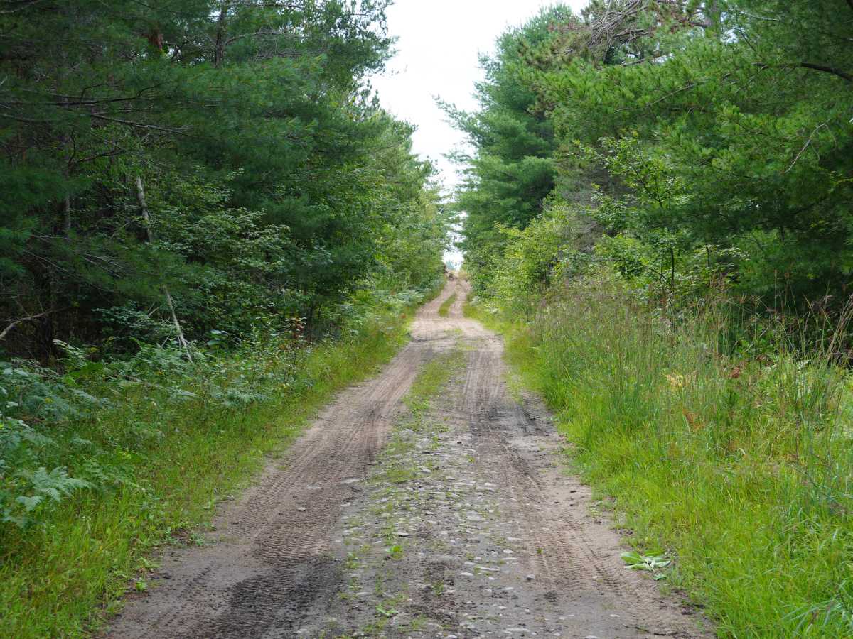 North Twin Tomahawk Trail photo 5