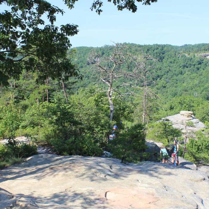 Near Auxier Ridge Loop Trail
