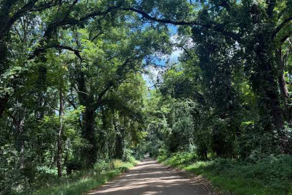 Glenn East Trail