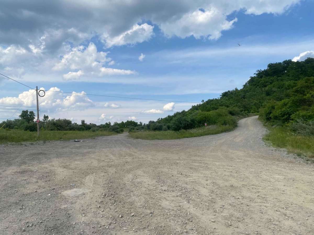 Trail 23 - Flatwoods Road photo 6