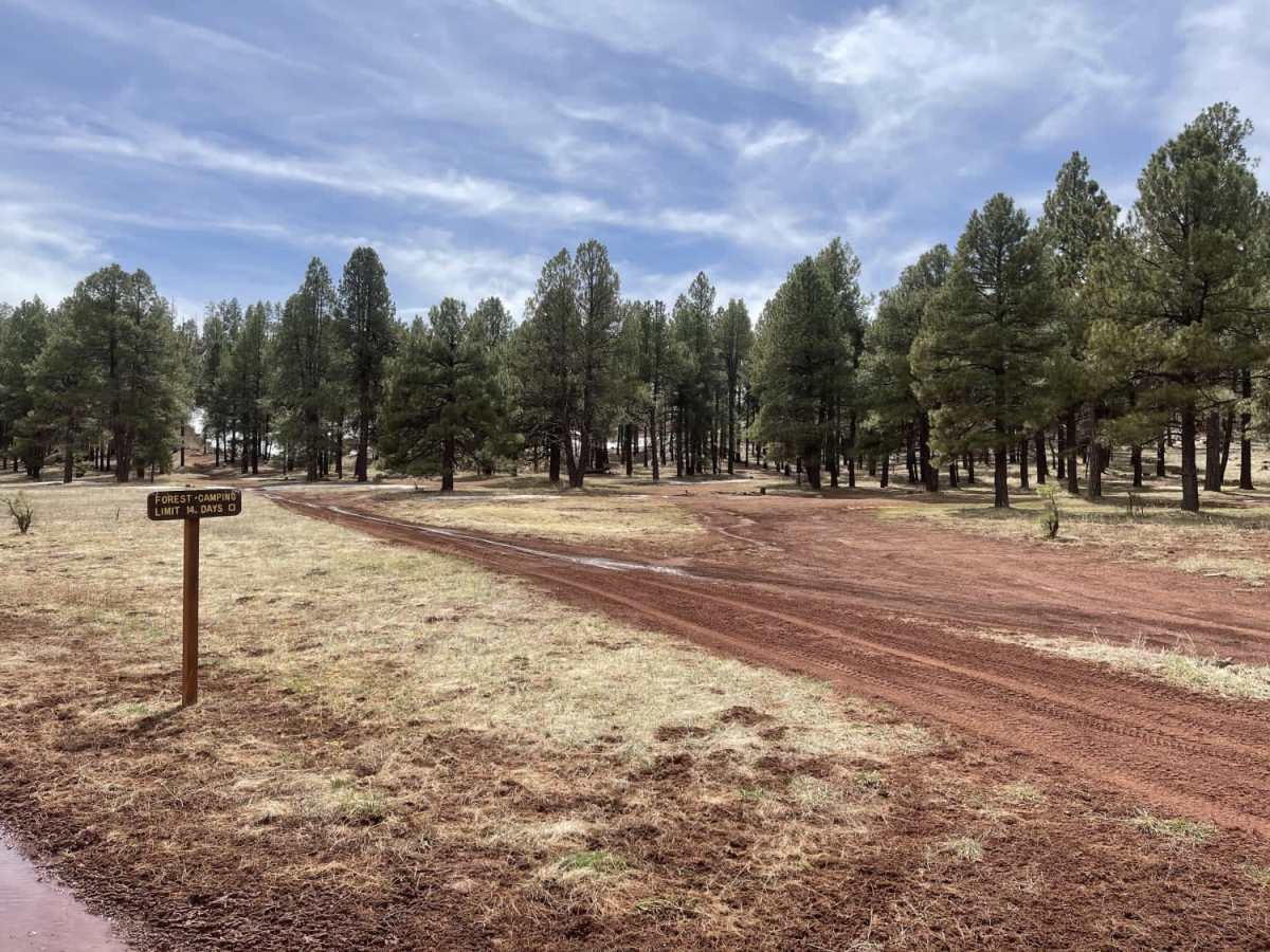 Old 354 Road to Pine Flats photo 4