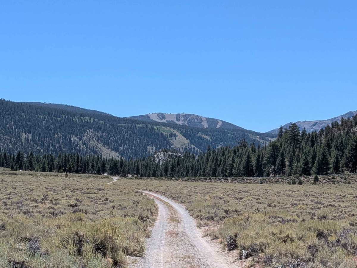 June Lake Shortcut - FS 1S32 photo 3