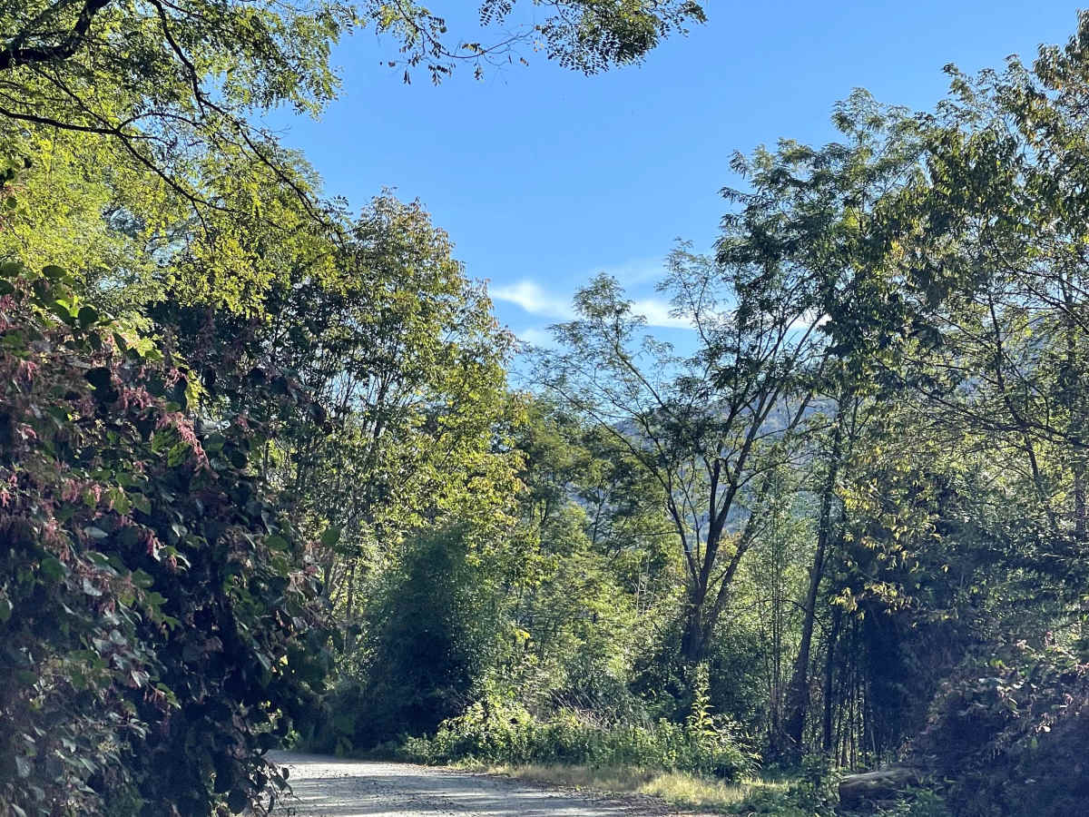 Mill Ridge trail photo