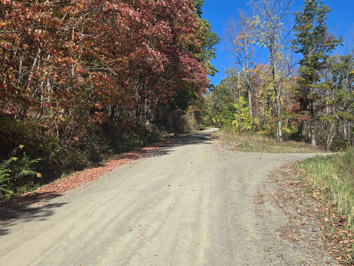 Vogt Road photo 4