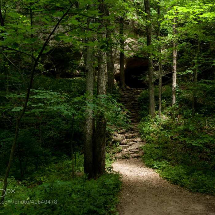 East Lake Trail. Near Backbone Lake Loop